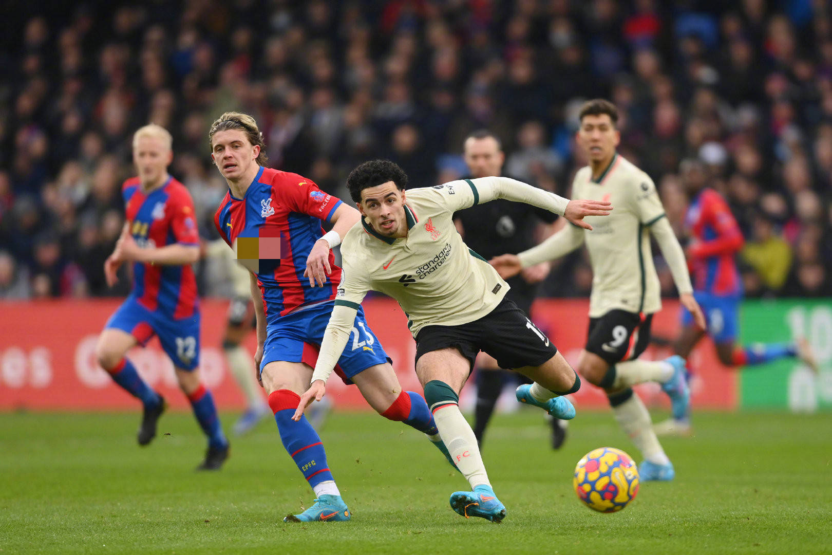 这一动态不 这一动态不