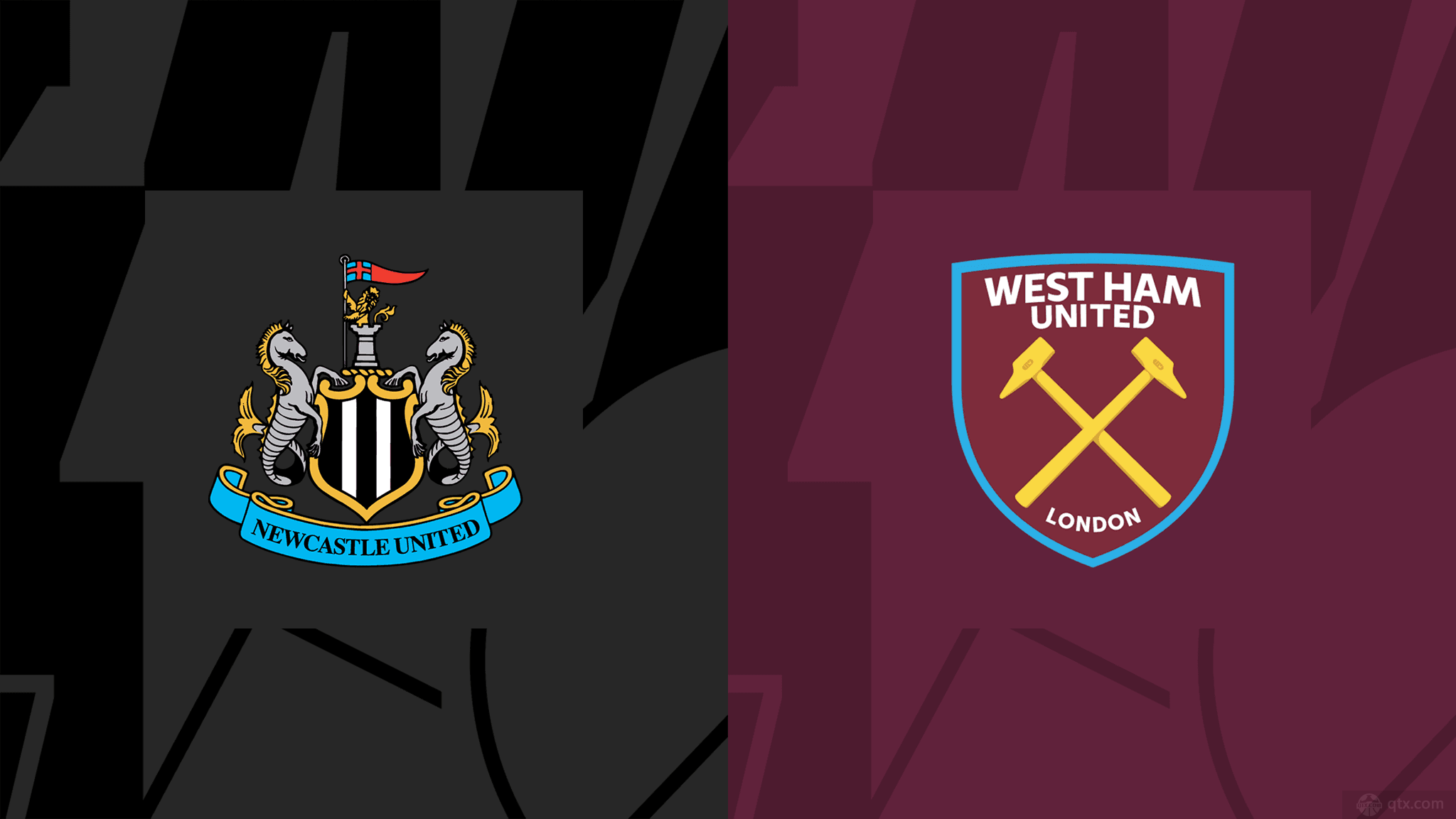 麦康奈尔在 麦康奈尔在